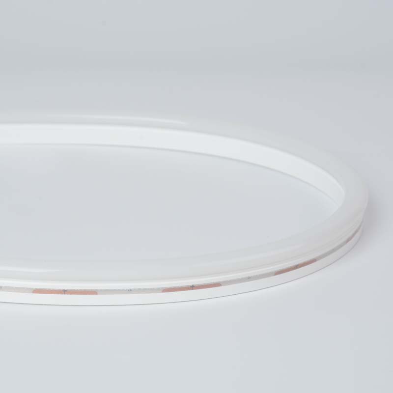 0817 TIRA DE NEÓN DIGITAL